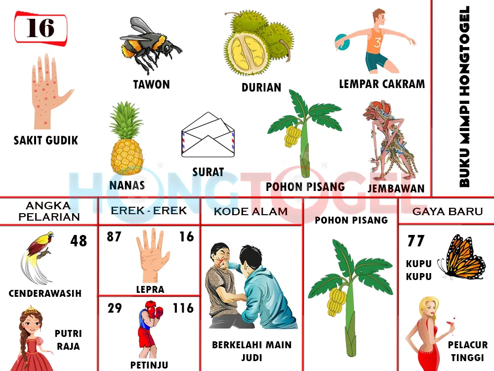 buku mimpi erek erek togel 16